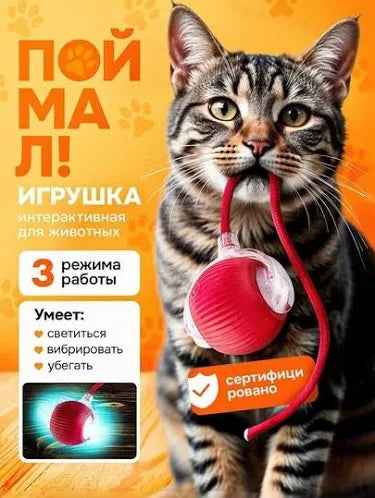 Smart Interactive Rolling Ball for Cats | USB Rechargeable