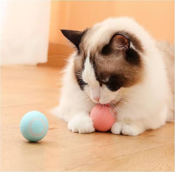 Smart Interactive Rolling Ball for Cats | USB Rechargeable